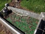 image of grave number 827359